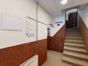 Prodej ubytování, Loučná pod Klínovcem - Loučná, 370 m2