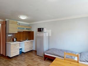 Prodej ubytování, Loučná pod Klínovcem - Loučná, 370 m2