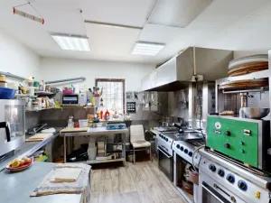 Prodej ubytování, Loučná pod Klínovcem - Loučná, 229 m2