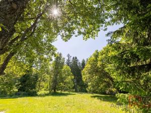 Prodej pozemku pro bydlení, Jáchymov, Školská, 991 m2