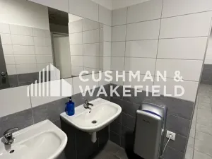 Prodej skladu, Nová Paka, 9000 m2