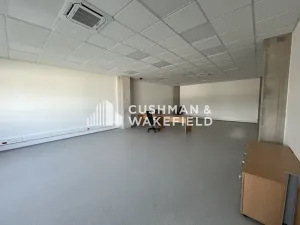 Prodej skladu, Nová Paka, 9000 m2