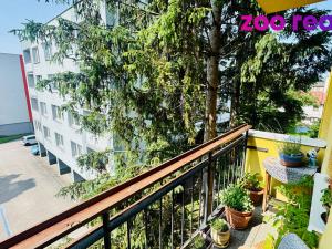 Prodej bytu 3+1, České Budějovice, J. Plachty, 72 m2