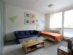 Pronájem bytu 1+1, Brno, Palackého třída, 35 m2