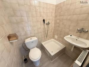 Pronájem kanceláře, Teplice - Trnovany, Československých legií, 38 m2