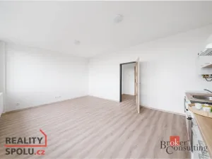 Pronájem bytu 1+kk, Mlékojedy, 47 m2