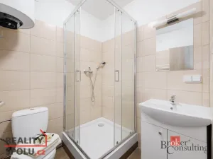 Pronájem bytu 1+kk, Mlékojedy, 47 m2