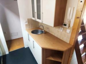 Prodej bytu 1+kk, Trutnov, Horská, 33 m2