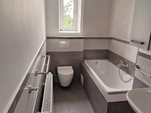 Pronájem bytu 1+1, Olomouc, Na zákopě, 50 m2