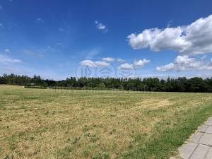 Prodej louky, Hradištko, 10905 m2