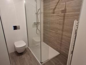 Pronájem bytu 2+kk, Teplice, Novoveská, 49 m2