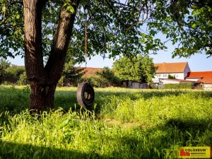 Prodej pozemku pro bydlení, Biskupice, 926 m2