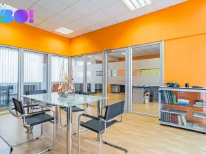 Prodej skladu, Ostrava - Hošťálkovice, Aleje, 767 m2