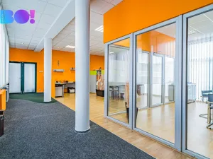 Prodej skladu, Ostrava - Hošťálkovice, Aleje, 767 m2