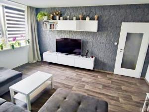 Pronájem bytu 4+1, Olomouc, Trnkova, 86 m2