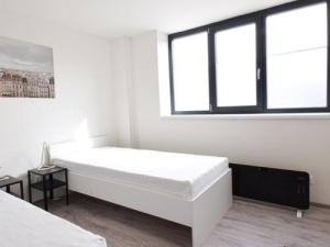 Pronájem bytu 2+1, Brno, Václavská, 33 m2