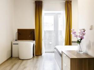 Pronájem bytu 2+kk, Brno, Václavská, 60 m2