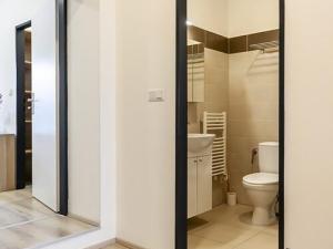 Pronájem bytu 2+kk, Brno, Václavská, 60 m2