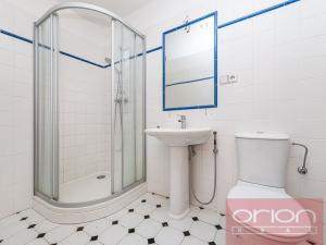 Pronájem rodinného domu, Praha - Smíchov, U Nesypky, 290 m2