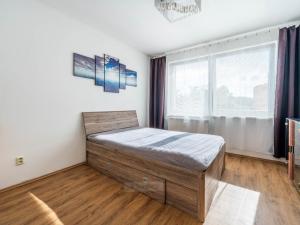 Pronájem bytu 2+kk, České Budějovice - České Budějovice 2, M. Chlajna, 45 m2