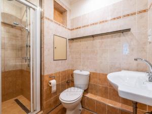 Pronájem bytu 2+kk, České Budějovice - České Budějovice 2, M. Chlajna, 45 m2