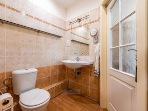 Pronájem bytu 2+kk, České Budějovice - České Budějovice 2, M. Chlajna, 45 m2