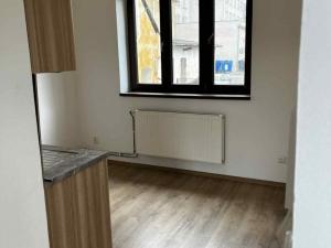 Pronájem bytu 1+kk, Horní Benešov, 16 m2