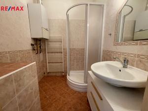 Pronájem bytu 1+1, Praha - Holešovice, Farského, 54 m2