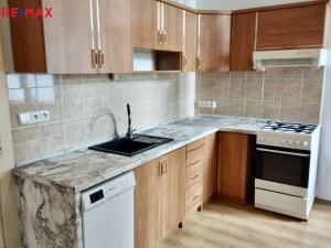 Pronájem bytu 1+1, Praha - Holešovice, Farského, 54 m2