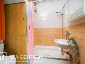 Pronájem bytu 1+1, Jablonec nad Nisou, Na Vršku, 40 m2
