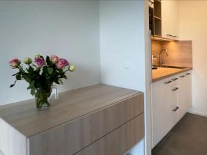 Prodej bytu 1+kk, Janov nad Nisou, 36 m2