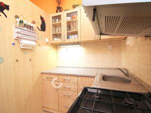 Prodej bytu 2+kk, Praha - Nusle, Sekaninova, 50 m2
