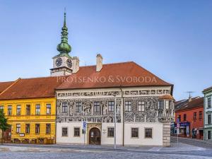 Prodej obchodního prostoru, Třebíč, 566 m2