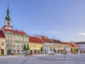 Prodej obchodního prostoru, Třebíč, 566 m2
