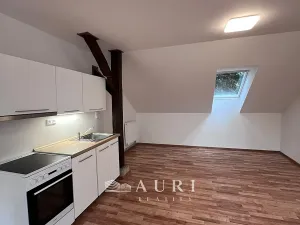 Pronájem bytu 1+kk, Rakovník, Havlíčkova, 58 m2