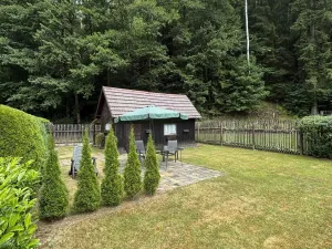 Prodej chaty, Oloví, 20 m2