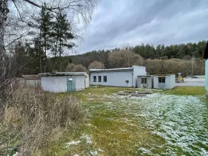 Prodej výrobních prostor, Červená Řečice, 12111 m2