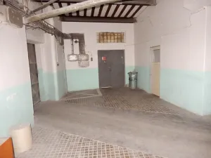Prodej výrobních prostor, Červená Řečice, 12111 m2