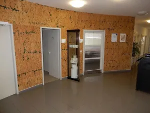 Prodej výrobních prostor, Červená Řečice, 12111 m2