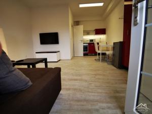 Pronájem bytu 1+kk, Jihlava, Sasovské údolí, 25 m2