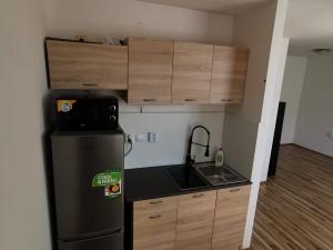 Pronájem bytu 1+kk, Hradec Králové, Akademika Heyrovského, 31 m2