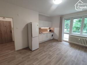 Pronájem bytu 1+kk, Ostrava - Poruba, Podroužkova, 28 m2