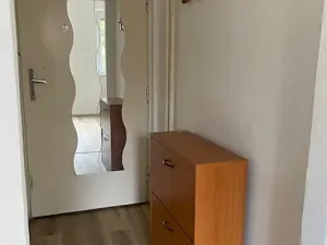 Pronájem bytu 1+kk, Olomouc, Norská, 29 m2