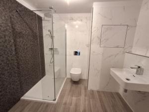 Pronájem bytu 2+kk, Teplice, Novoveská, 46 m2