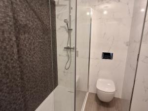 Pronájem bytu 2+kk, Teplice, Novoveská, 46 m2