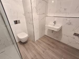 Pronájem bytu 2+kk, Teplice, Novoveská, 46 m2
