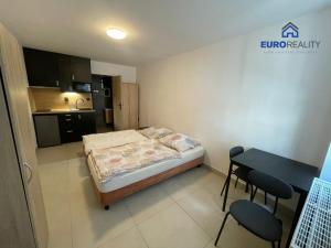 Pronájem bytu 1+kk, Mariánské Lázně, Palackého, 29 m2