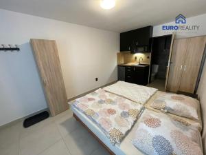 Pronájem bytu 1+kk, Mariánské Lázně, Palackého, 29 m2