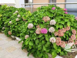 Prodej bytu 3+kk, Bjala, Bulharsko, 92 m2