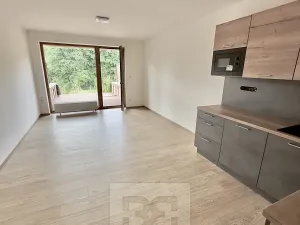 Pronájem bytu 1+kk, Slaný, Lázeňská, 35 m2